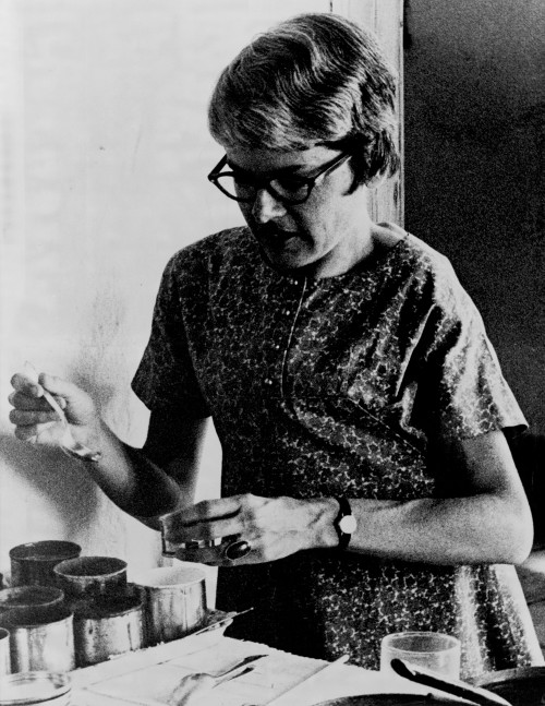 Exhibition Opening: Marguerite's World